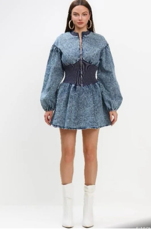 Lyric Denim Skater Dress